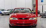 1994 Mustang SVT Cobra Indy Pace Ca Thumbnail 10