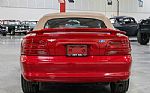 1994 Mustang SVT Cobra Indy Pace Ca Thumbnail 17