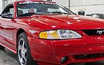 1994 Mustang SVT Cobra Indy Pace Ca Thumbnail 42