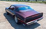1980 Firebird Thumbnail 8