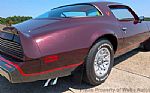 1980 Firebird Thumbnail 16