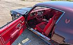 1980 Firebird Thumbnail 44