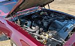 1980 Firebird Thumbnail 85