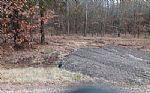  Acres In Red River County Thumbnail 1