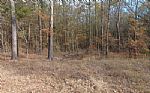  Acres In Red River County Thumbnail 2