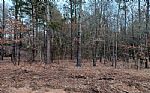  Acres In Red River County Thumbnail 5