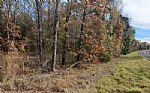  Acres In Red River County Thumbnail 6