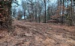  Acres In Red River County Thumbnail 7