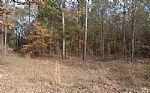  Acres In Red River County Thumbnail 8