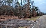  Acres In Red River County Thumbnail 13