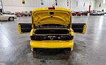 2002 Firebird Trans Am WS6 Thumbnail 51