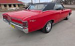 1967 Chevelle Thumbnail 10