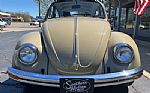 1971 Beetle Thumbnail 3