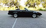 1981 TR7 Thumbnail 3