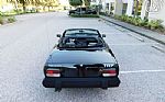 1981 TR7 Thumbnail 17