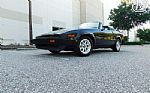 1981 TR7 Thumbnail 24