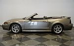2001 Mustang Cobra SVT Convertible Thumbnail 8