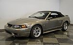 2001 Mustang Cobra SVT Convertible Thumbnail 39