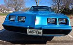 1980 Firebird Trans Am Thumbnail 6