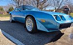 1980 Firebird Trans Am Thumbnail 5