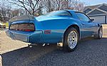 1980 Firebird Trans Am Thumbnail 8