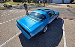 1980 Firebird Trans Am Thumbnail 13