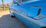 1980 Firebird Trans Am Thumbnail 27