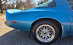 1980 Firebird Trans Am Thumbnail 31