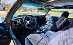 1980 Firebird Trans Am Thumbnail 91