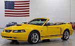 2004 Mustang GT 40th Anniversary Co Thumbnail 3
