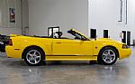 2004 Mustang GT 40th Anniversary Co Thumbnail 8