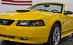 2004 Mustang GT 40th Anniversary Co Thumbnail 19