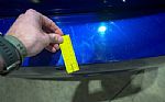 2003 Focus SVT Thumbnail 36
