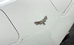 1979 Corvette Coupe Thumbnail 9
