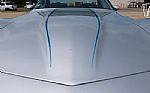 1981 Corvette Thumbnail 36