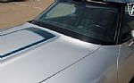 1981 Corvette Thumbnail 44