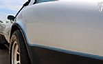 1981 Corvette Thumbnail 47