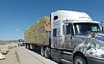 2016 PROSTAR Thumbnail 3