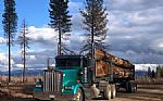 2000 W900L Thumbnail 3