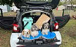 2016 Fortwo Thumbnail 3