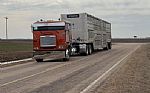 1999 Argosy Sleeper Truck Thumbnail 3