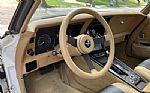 1981 Corvette Thumbnail 16
