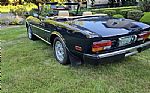 1980 Spider Thumbnail 56