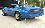 1979 Firebird Thumbnail 9