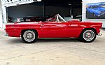 1955 Thunderbird Thumbnail 5