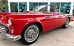 1955 Thunderbird Thumbnail 12