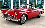 1955 Thunderbird Thumbnail 11