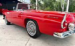 1955 Thunderbird Thumbnail 15