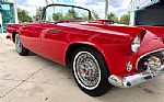 1955 Thunderbird Thumbnail 19