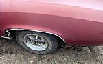 1973 Grand AM Thumbnail 5